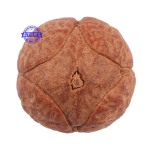 4 Line Buddha Chitta - Bead No. 8