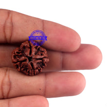 Load image into Gallery viewer, 4 Mukhi Rudraksha from Nepal - Bead No. 51
