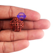 Load image into Gallery viewer, 4 Mukhi Rudraksha from Nepal - Bead No. 40
