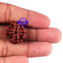 Load image into Gallery viewer, 4 Mukhi Rudraksha from Nepal - Bead No. 58
