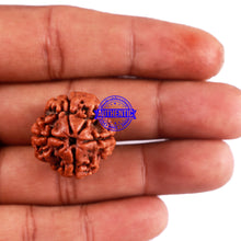 Load image into Gallery viewer, 4 Mukhi Rudraksha from Nepal - Bead No. 25
