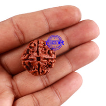 Load image into Gallery viewer, 4 Mukhi Rudraksha from Nepal - Bead No. 34
