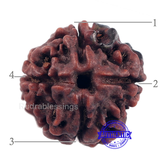 4 Mukhi Rudraksha with Om Marking - Bead 1