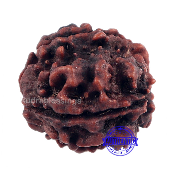 4 Mukhi Rudraksha with Om Marking - Bead 1