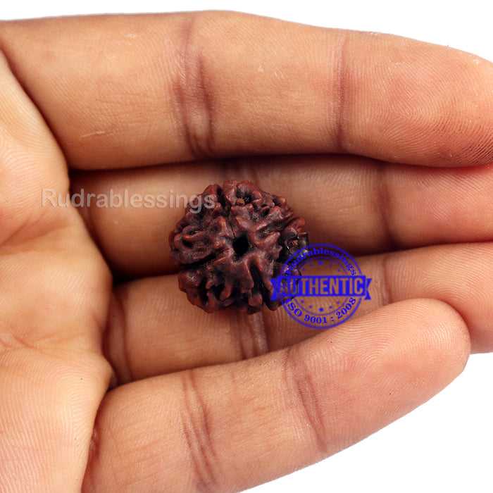 4 Mukhi Rudraksha with Om Marking - Bead 1