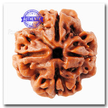 Load image into Gallery viewer, 4 Mukhi Rudraksha from Nepal - Bead No. 32
