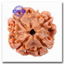 Load image into Gallery viewer, 4 Mukhi Rudraksha from Nepal - Bead No. 57
