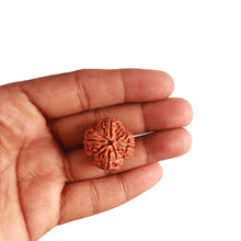 Load image into Gallery viewer, 4 Mukhi Rudraksha from Nepal - Bead No. 263
