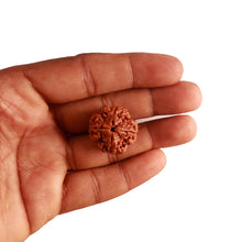 Load image into Gallery viewer, 4 Mukhi Rudraksha from Nepal - Bead No. 269
