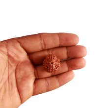 Load image into Gallery viewer, 4 Mukhi Rudraksha from Nepal - Bead No. 270
