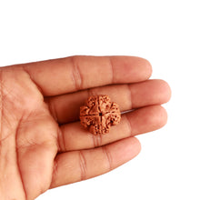 Load image into Gallery viewer, 4 Mukhi Rudraksha from Nepal - Bead No. 275
