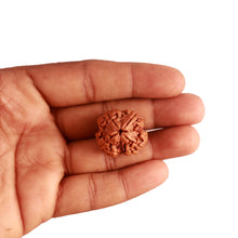 Load image into Gallery viewer, 4 Mukhi Rudraksha from Nepal - Bead No. 281
