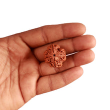 Load image into Gallery viewer, 4 Mukhi Rudraksha from Nepal - Bead No. 292
