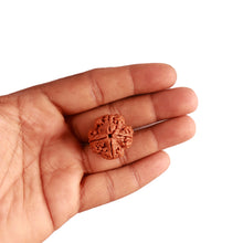 Load image into Gallery viewer, 4 Mukhi Rudraksha from Nepal - Bead No. 296
