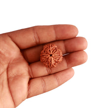 Load image into Gallery viewer, 4 Mukhi Rudraksha from Nepal - Bead No. 303
