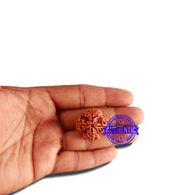 Load image into Gallery viewer, 4 Mukhi Rudraksha from Nepal - Bead No. 312
