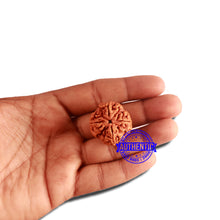 Load image into Gallery viewer, 4 Mukhi Rudraksha from Nepal - Bead No. 314
