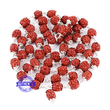 Load image into Gallery viewer, 4 Mukhi Chikna Rudraksha Mala - 54+1 (Pure Silver)
