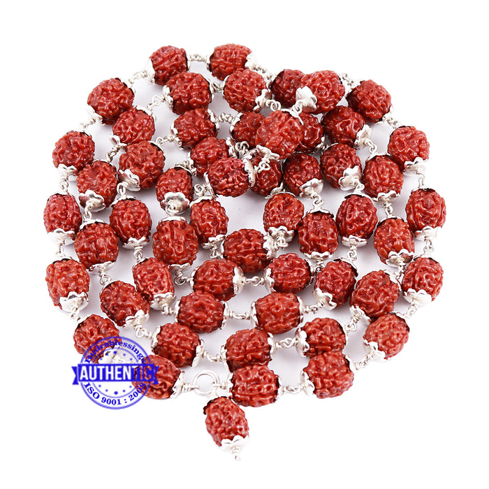 4 Mukhi Chikna Rudraksha Mala - 54+1 (Pure Silver)
