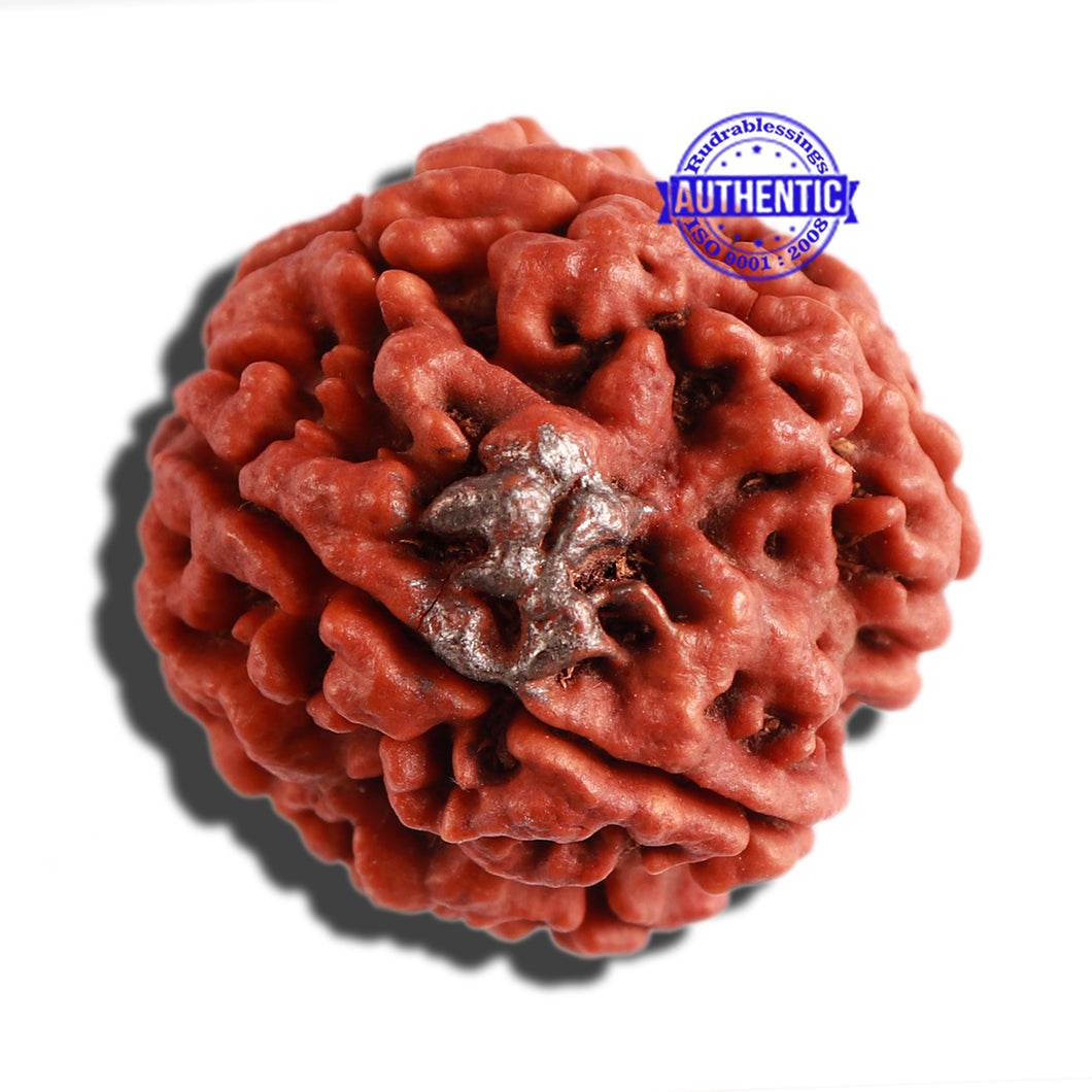 4 Mukhi Ganesha Rudraksha with Om Marking