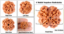 Load image into Gallery viewer, 4 Mukhi Rudraksha from Nepal - Bead No. 90
