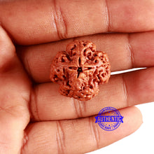 Load image into Gallery viewer, 4 Mukhi Rudraksha from Nepal - Bead No. 318
