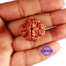 Load image into Gallery viewer, 4 Mukhi Rudraksha from Nepal - Bead No. 321
