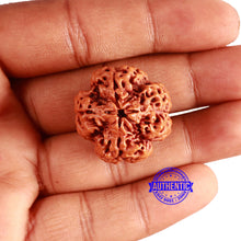 Load image into Gallery viewer, 4 Mukhi Rudraksha from Nepal - Bead No. 322
