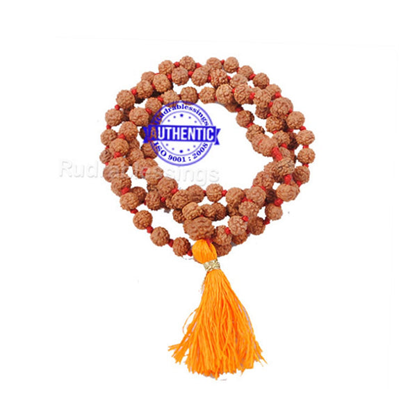 NAISHA Certified Original 5 Mukhi 8MM Rudraksha Mala, Wear & Japa Mala NAISHA Certified Original 5 Mukhi 8MM Rudraksha Mala, Wear & Japa Mala