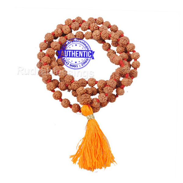 5 mukhi Rudraksha Japa mala - 6mm