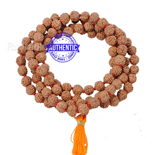 5 mukhi Rudraksha Japa mala - 8/9mm