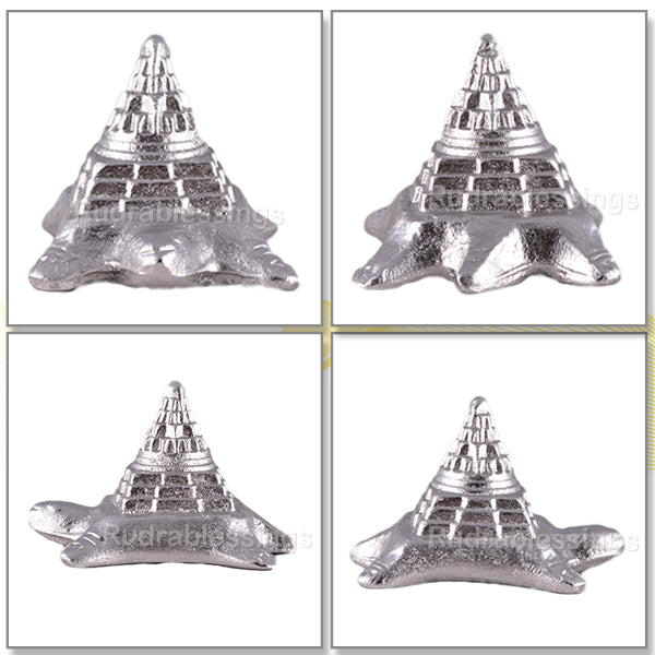 Parad / Mercury Kurma Shree Yantra - 57