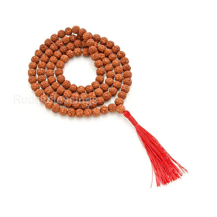 5 mukhi Rudraksha Japa mala - 6mm