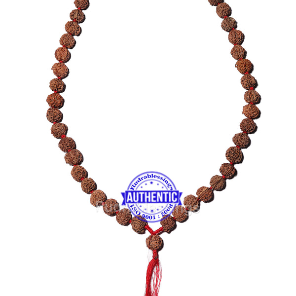4 Mukhi Rudraksha Kantha - (108+1 beads - Nepalese) - 1