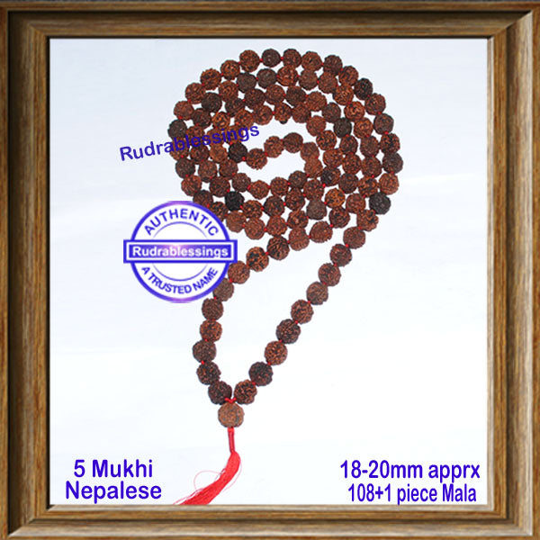 5 mukhi Rudraksha Mala - (108 + 1 beads - Nepalese)