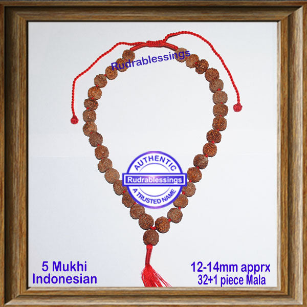 5 Mukhi Rudraksha Kantha - (32+1 beads - Indonesian)