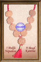 Load image into Gallery viewer, 5 mukhi Rudraksha Kantha - (9 beads - Nepalese)
