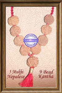 5 mukhi Rudraksha Kantha - (9 beads - Nepalese)
