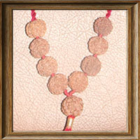 5 mukhi Rudraksha Kantha - (9 beads - Nepalese)