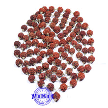 Load image into Gallery viewer, 4 Mukhi Rudraksha Kantha - (108+1 beads - Nepalese)
