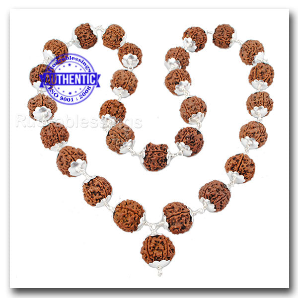 5 Mukhi Rudraksha Mala - 26+1 beads-Nepalese (Pure Silver)