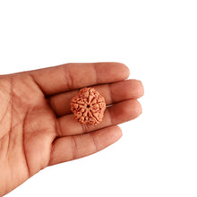 Load image into Gallery viewer, 5 Mukhi Rudraksha from Nepal - Bead No. 263
