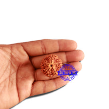 Load image into Gallery viewer, 5 Mukhi Rudraksha from Nepal - Bead No. 290
