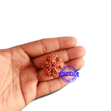 Load image into Gallery viewer, 5 Mukhi Rudraksha from Nepal - Bead No. 292
