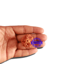 Load image into Gallery viewer, 5 Mukhi Rudraksha from Nepal - Bead No. 298
