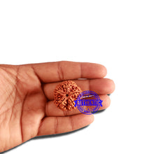 Load image into Gallery viewer, 5 Mukhi Rudraksha from Nepal - Bead No. 299
