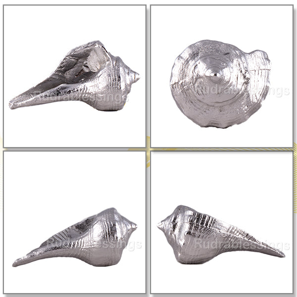 Parad / Mercury Shankh (Conch) - 65