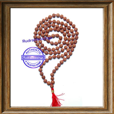 5 Mukhi Rudraksha Mala (Semi smooth beads) - 6mm