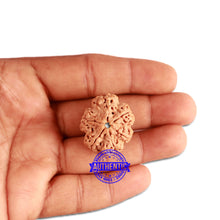 Load image into Gallery viewer, 6 Mukhi Rudraksha from Nepal - Bead No. 325
