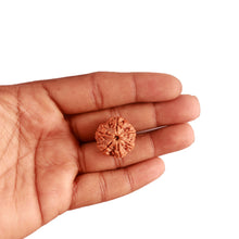 Load image into Gallery viewer, 6 Mukhi Rudraksha from Nepal - Bead No. 368
